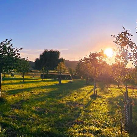 Auszeit Am Wiehengebirge باد ايسن المظهر الخارجي الصورة